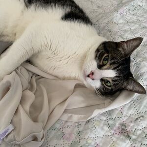 Meet your Posher, Jullen